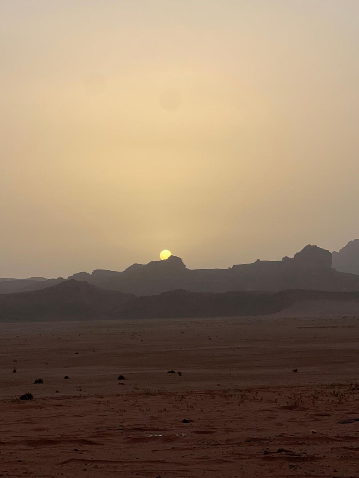 Angelina Wadi Rum Camp Eksteriør billede
